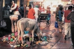 WhatsApp-Image-2025-09-25-at-6.39.54-PM